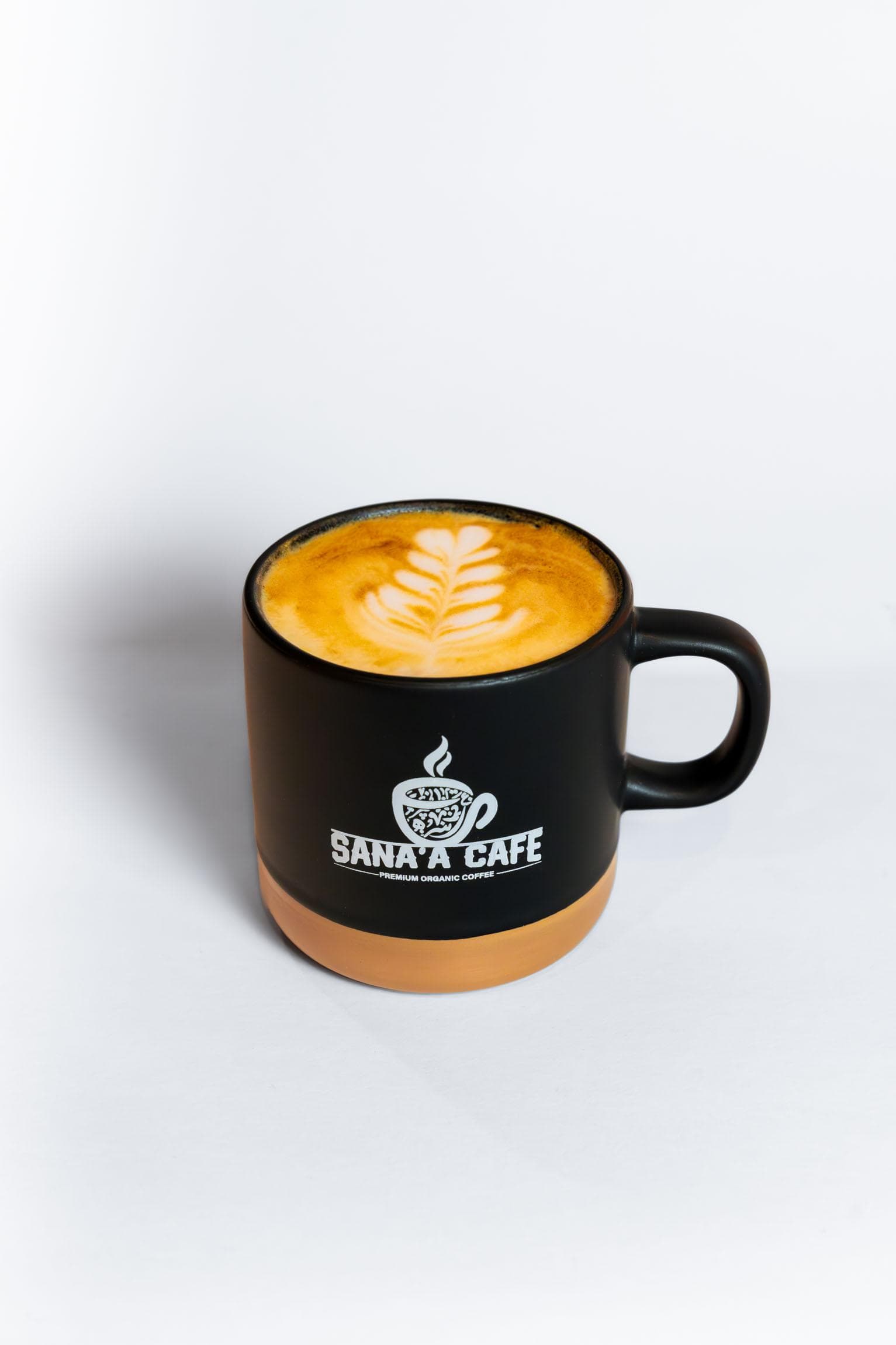 Cappuccino (12oz)